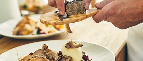 repas faits maison à domicile Lyon repas faits maison à domicile Lyon